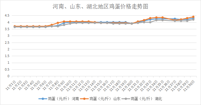 11月4日全国鸡蛋价格行情分析与查询指南