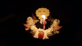 11月4日黑化创意日，彩色篇章的温馨日常