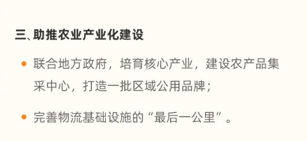 马云现身独特小店，探索之旅揭秘最新动态