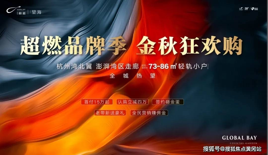 11月4日最新高分同性产品全面解析与评测介绍