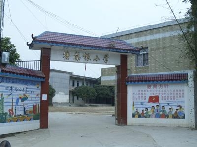 化州中垌新闻纪实，温馨日常的趣事与友情的绽放（11月4日最新报道）