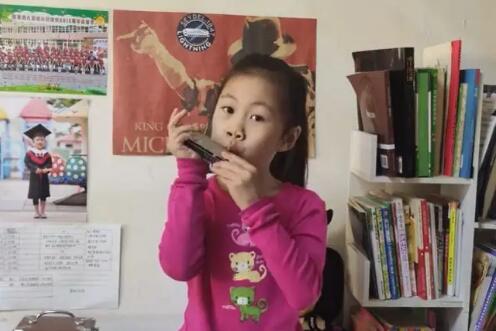 探寻小菊之韵背后的故事与影响，揭秘11月4日的秘密