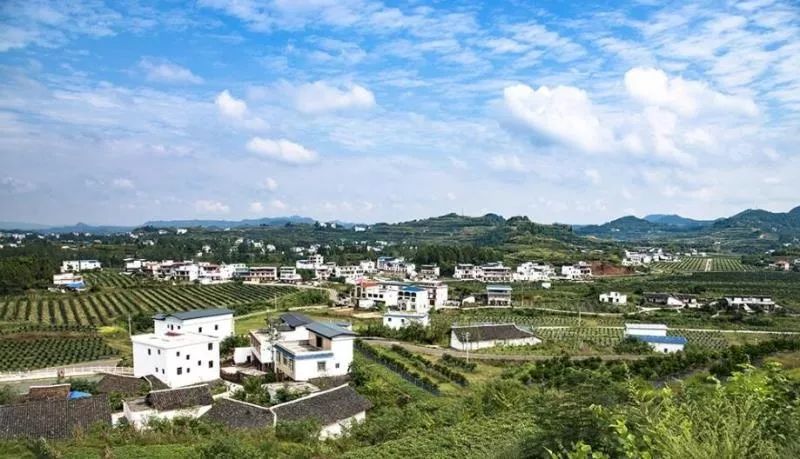 庄浪县永宁乡趣事与暖心留言，11月4日最新动态