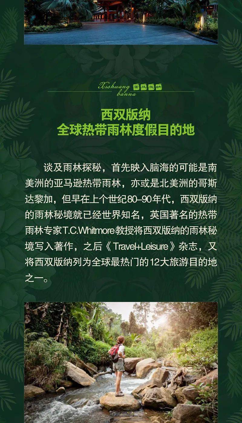 探寻自然美景之旅，11月4日关键洞察力的内心宁静与平和之旅