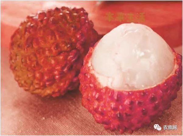 揭秘神秘宝藏，黑暗荔枝最新故事与隐藏小巷深处的特色小店