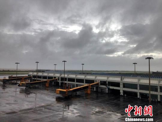青岛台风袭击致航班受影响，最新动态与深远影响分析
