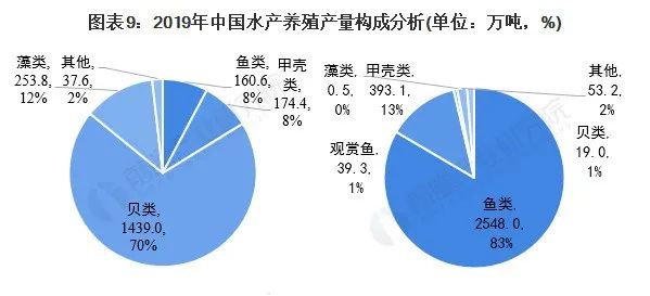 聚焦中国养殖业最新动态与趋势展望，以11月5日为观察点
