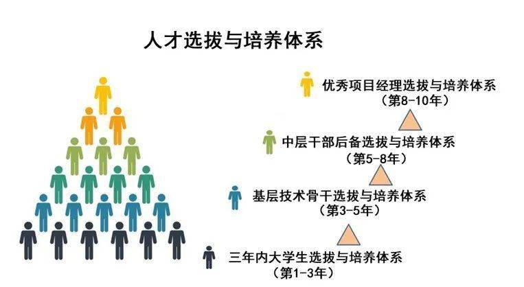 莘县最新招聘解析与评测报告（11月5日版）