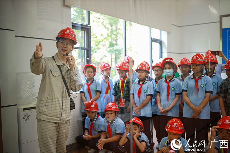 黄土塘发电厂最新动态解析，聚焦11月5日新消息深度解读