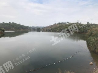 11月5日王英水库移民最新动态，新篇章开启，影响深度分析