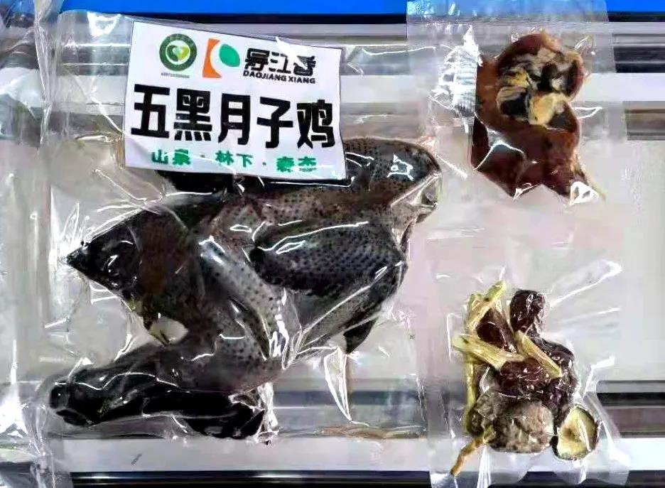 11月5日曲江香都东岸最新动态与生活指南，掌握最新资讯，攻略任务生活