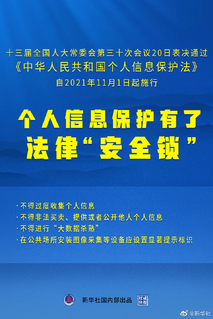 11月5日最新年音像，深度解析与观点阐述