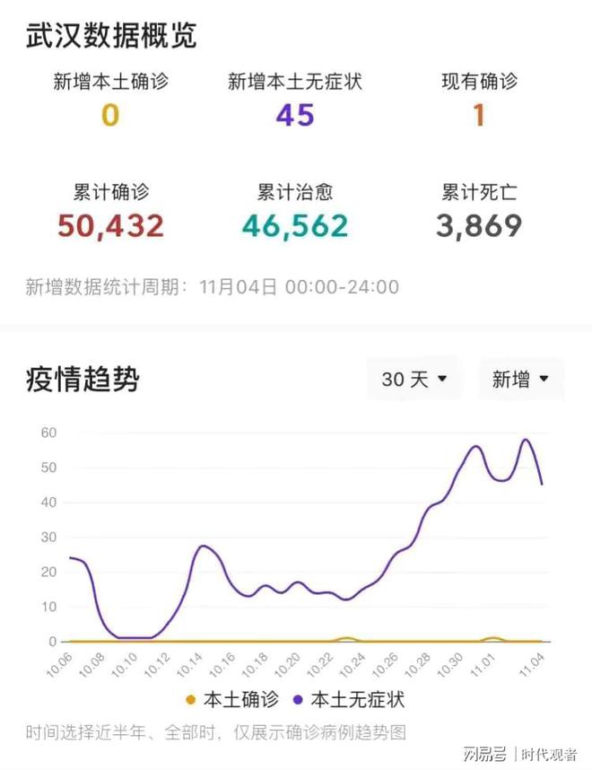 湖北疫情最新动态，十一月五日回望与影响分析