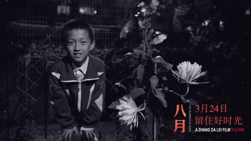 揭秘六零年代魅力，11月5日畅游最新章节要点探寻