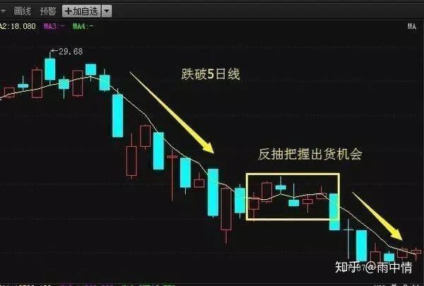 揭秘最新跑狗玄机图，运势预测与人生启示（11月5日版）