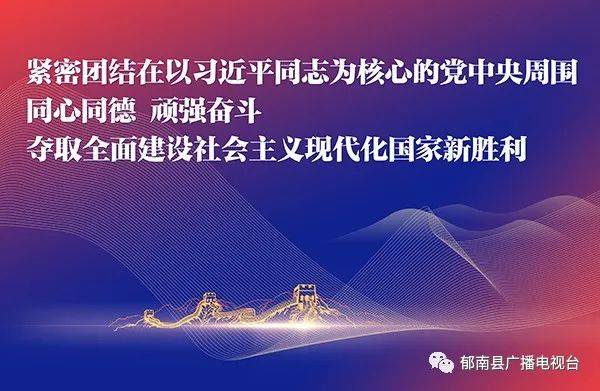 11月5日最新众视频，变化中的学习之旅，自信与成就感的魔法启程