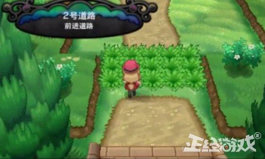 11月5日菜鸡狗游戏下载指南及新手入门手册与体验分享