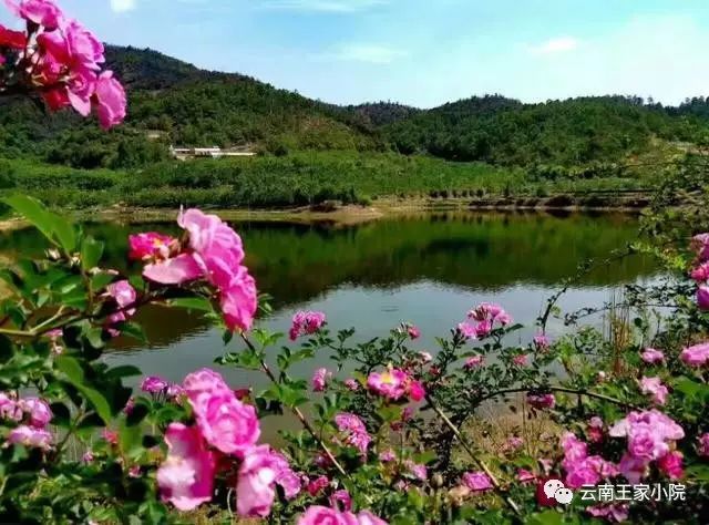 沈阳王家湾秘境探寻之旅，自然美景的最新发现之旅