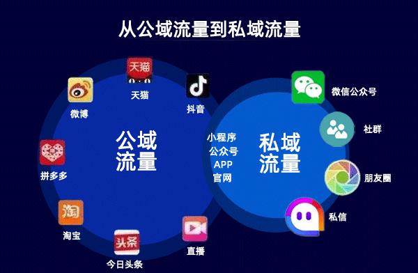 网宿新纪元，自信与成长之光闪耀的11月5日最新动态