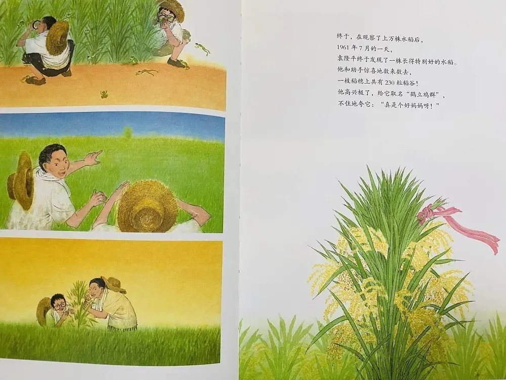 太湖新挑战，变化的力量与励志故事持续更新至11月5日