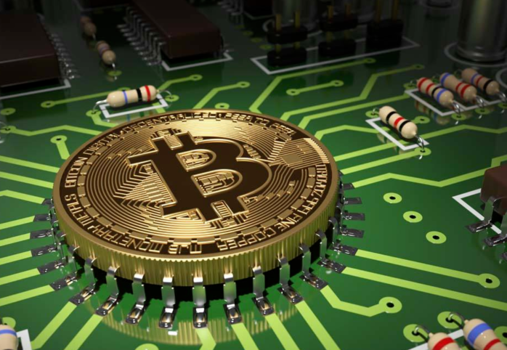 揭秘胜利背后的故事，美依最新战况深度解析（11月5日）