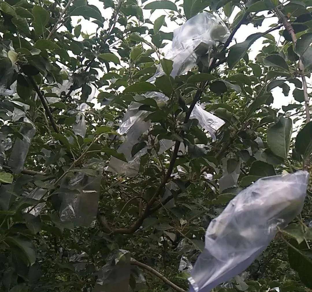 11月5日星辰之选，最新网名a，时代印记的崭新网络符号