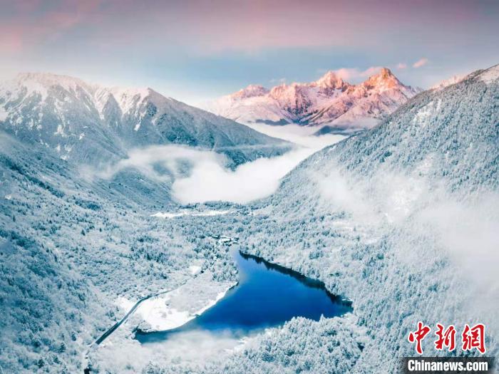 疫情下的自然探索之旅，寻找内心的宁静与平和的奇妙旅程（最新疫情更新）