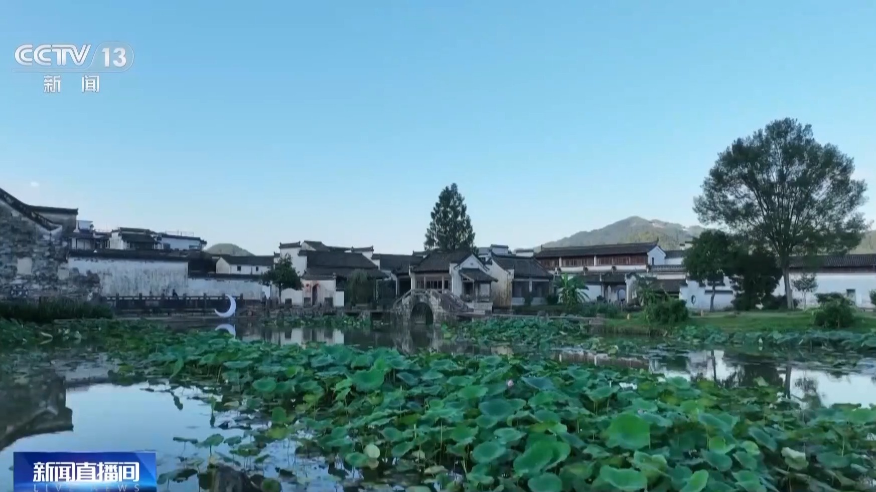 橘虞初梦 第101页