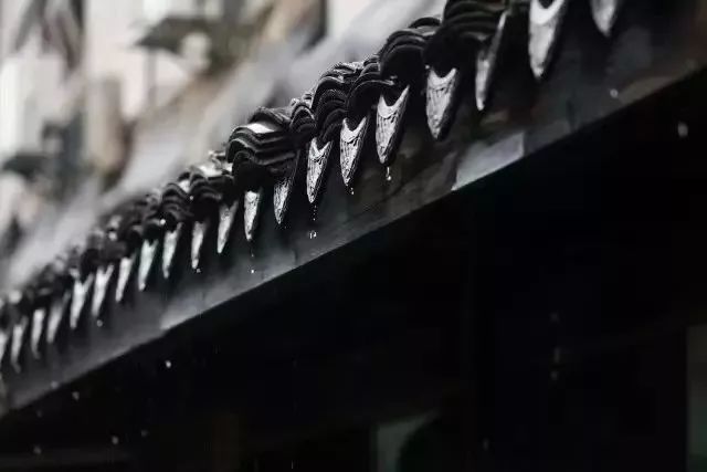 探索巷弄秘境，揭秘飞马最新壳店，隐藏在小巷深处的神秘宝藏（11月6日更新）