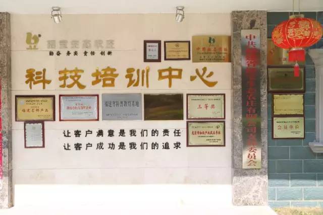 华阳最新招聘动态，探索小巷深处的隐藏宝藏与特色小店