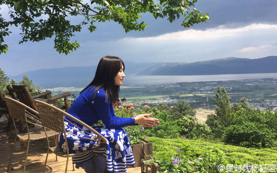 杨钰莹最新动态曝光，聚焦杨钰莹资讯深度解析（2017年11月6日）