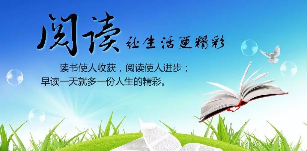 走进最新美文视界，探索美文新境界的十一月六日体验
