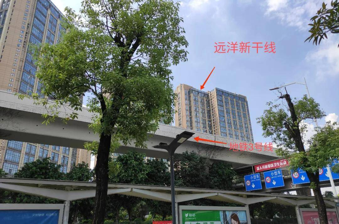 11月6日独家爆料，威达最新动态揭秘，不容错过的精彩瞬间回顾
