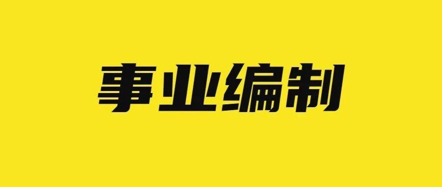 上海最新司机招聘，职业发展的理想选择，11月6日更新