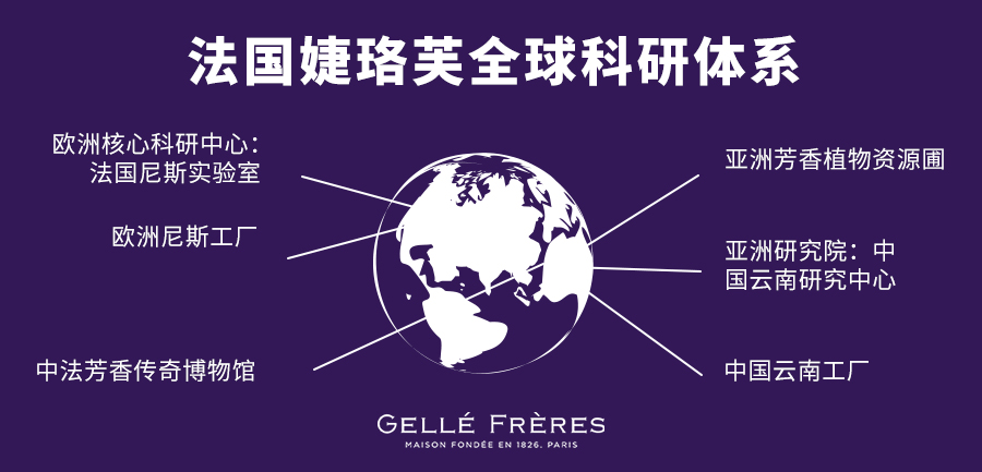 揭秘水贝科技新品重磅发布，革新之旅引领未来生活新纪元！