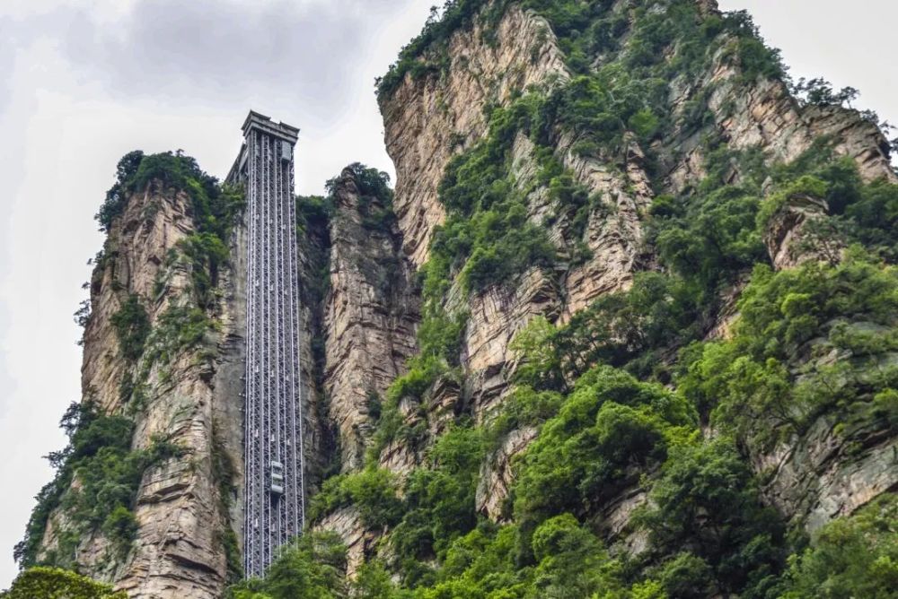 张家界疫情下的励志之光，学习带来的自信与成就感在逆境中成长
