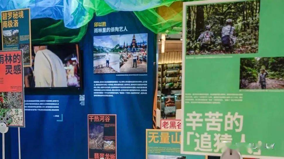 历史上的11月9日山东疫情迎来新曙光，力量与学习的蜕变之路