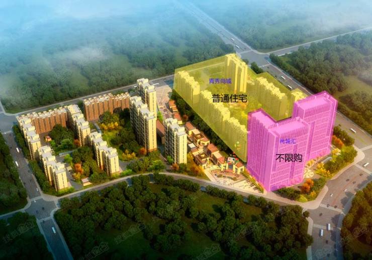 历史上的11月9日帝佳尚城新篇章，变化中的学习塑造自信与成就之路