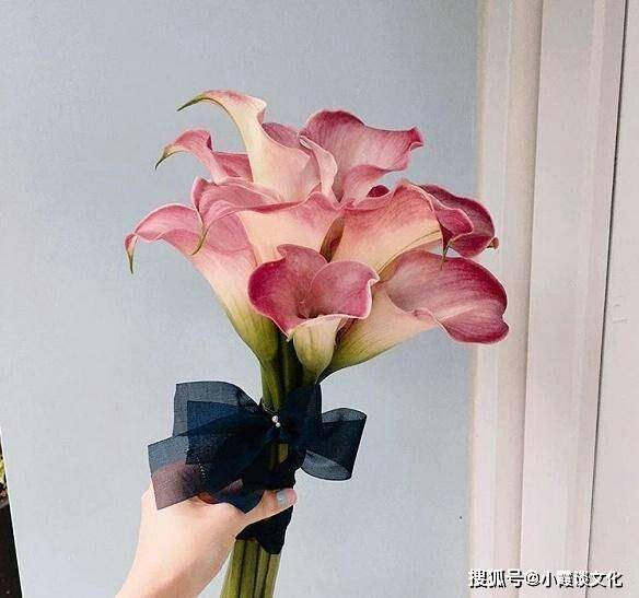 历史上的11月9日，韩式花束的绽放与影响及最新花束图片展示