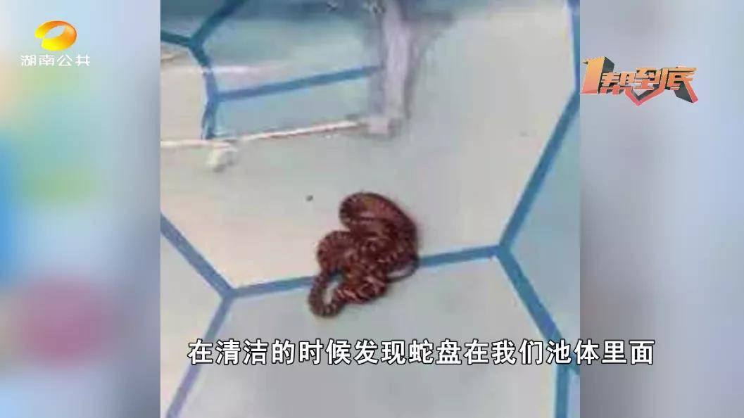 初遇在故事开头 第99页