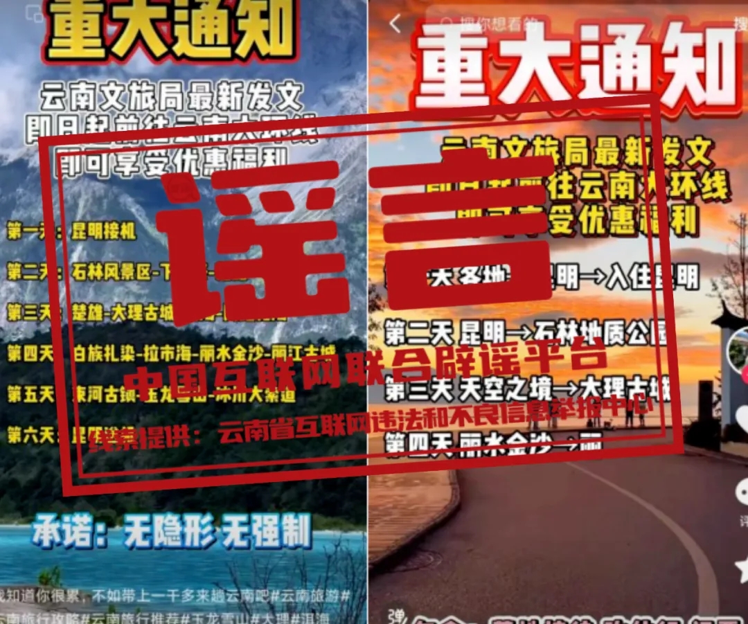 2024年溆浦最新招聘信息汇总与展望，11月10日更新
