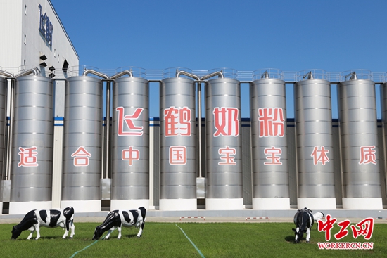 独家揭秘，飞鹤奶粉宝藏店最新价格表，探寻小巷深处的优惠