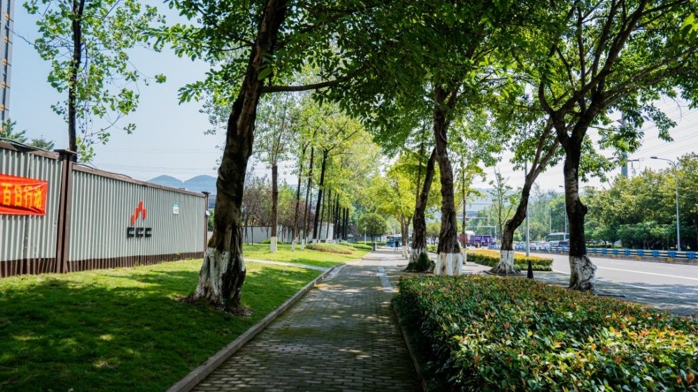 本月绿地新闻回顾，绿意盎然中的时代印记与深远事件影响
