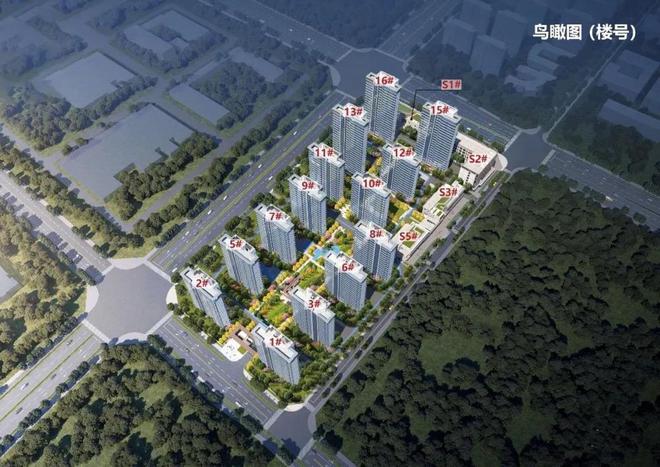 丰顺新楼盘崛起，自信成长之光，变化的力量与乐趣的探索