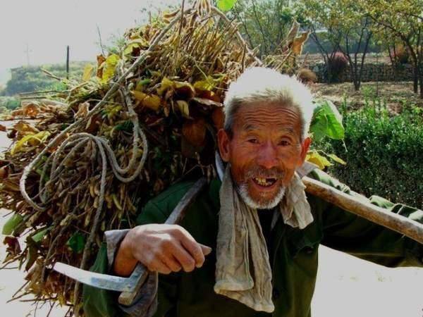 11月贝农最新图片引发的热议，审美变迁与个人观点探析