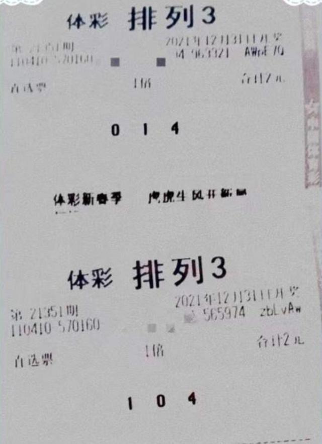 今年3D真金华布衣正版，驾驭未来的励志之旅与挑战成长