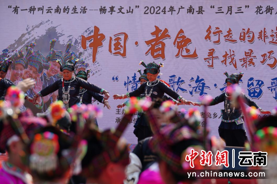 揭秘，智能兔子最新价格与超凡体验，跃动未来展望2024年兔子市场动向