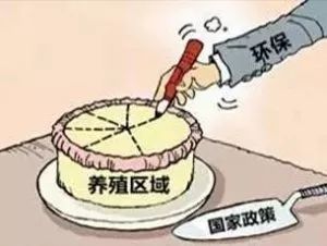 最新禁养区消息不补偿，应对任务及妥善处理之策