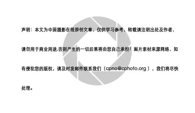 启程碳素厂，探寻自然秘境的招聘之旅——最新招聘公告发布（2024年11月）