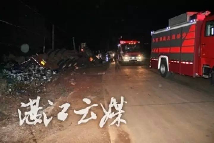 十一月新安路上的交通奇遇与温情纪事，生活课堂中的温暖瞬间